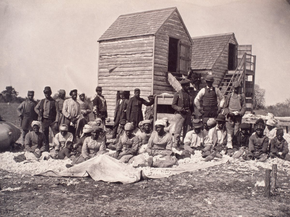 Former slaves harvesting for their own profit. Corbis via Getty Images