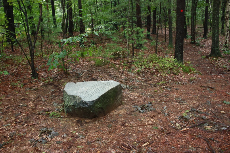 A boulder marks the location where Brister Freeman’s house is thought to have stood in Walden Woods. (Courtesy of the Walden Woods Project) (Matt Burne/Courtesy of The Walden Woods Project)