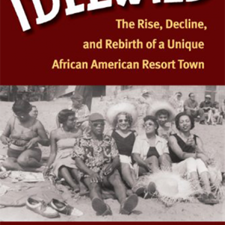 Idlewild: the Rise, Decline, and Rebirth of a Unique African American Resort Town book cover.