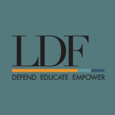 Teal Background that reads "LDF: Dedend Educate Empower"