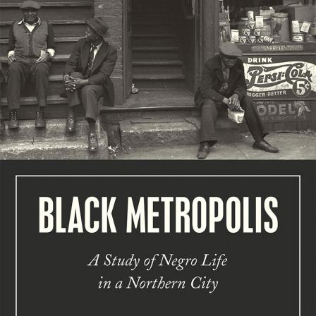 Black Metropolis cover. 