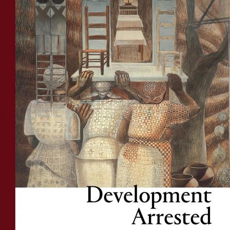 Book Cover: Development Arrested: The Blues and Plantation Power in the Mississippi Delta