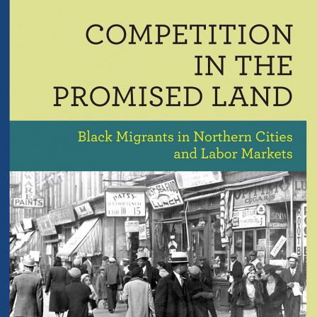 Book Cover: Competition in the Promised Land: Black Migrants in Northern Cities and Labor Markets