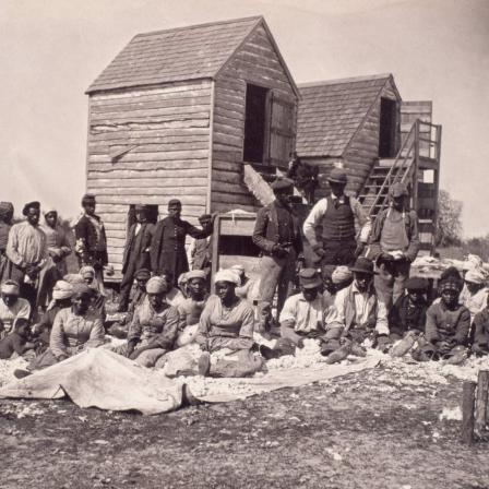 Former slaves harvesting for their own profit. Corbis via Getty Images