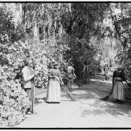 Black and white photo c. 1900s. Black men and women holding brooms and garden tools along a wide path in a garden. The caretakers, Magnolia-on-the-Ashley courtesy LOC