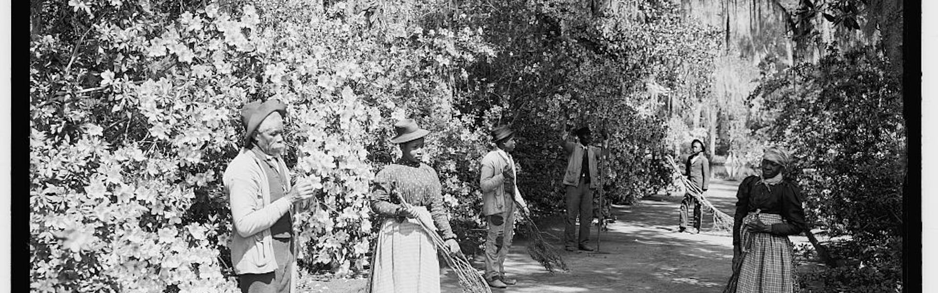 black and white image of Black servants outside with gardening equipment