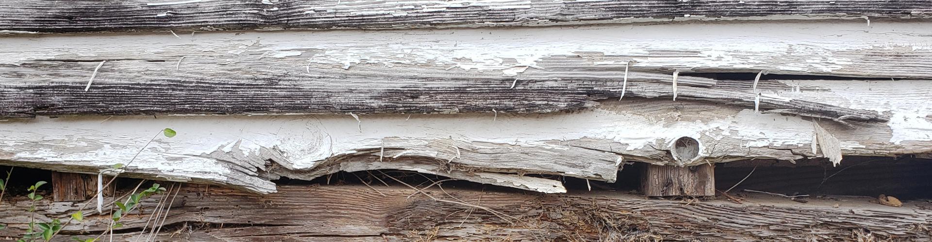 detail of weathered wood